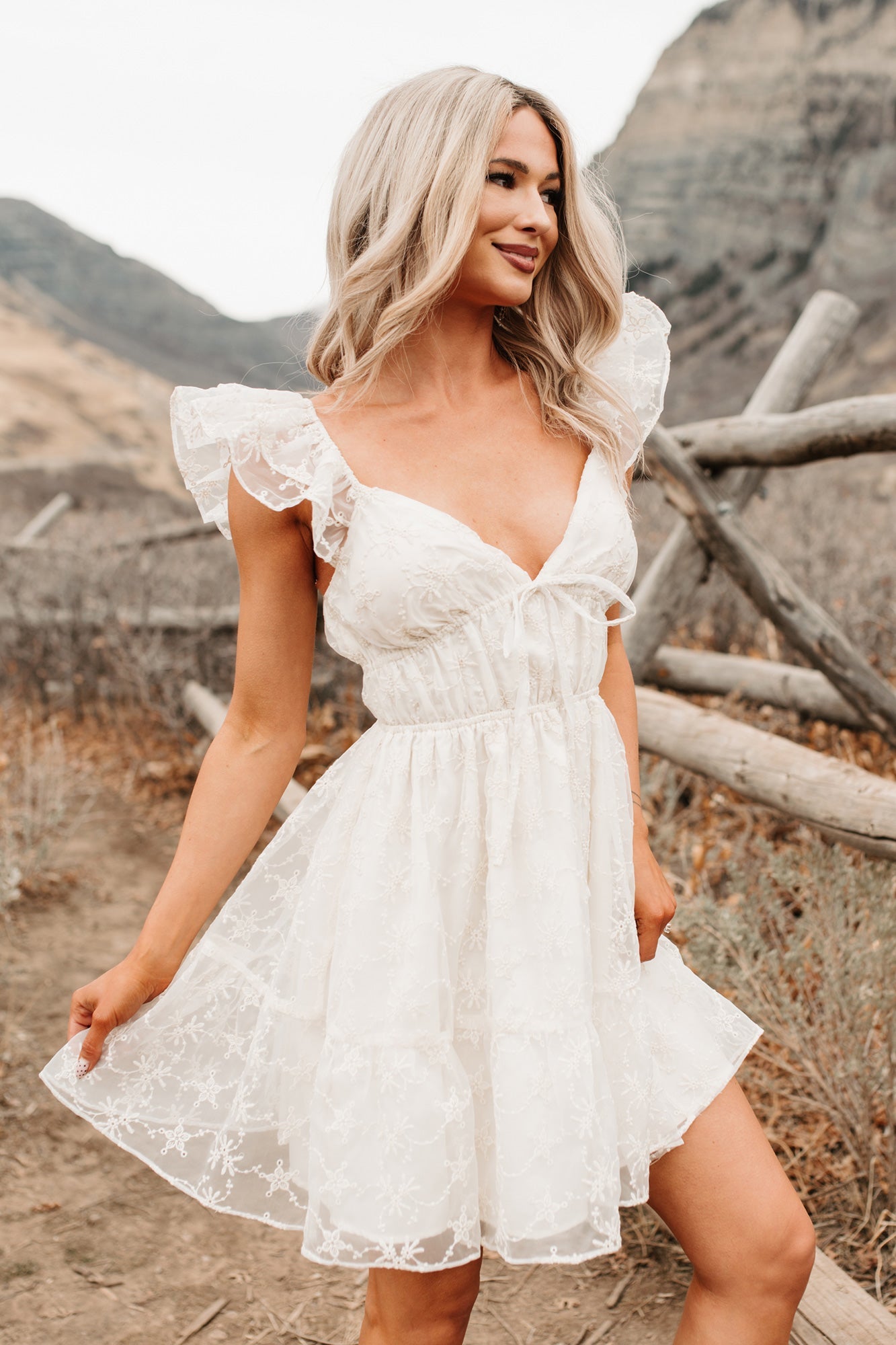 Petals In The Sun Chiffon Embroidered Mini Dress (Ivory)